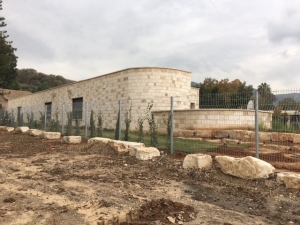 אבן נארי מוברשת חיפוי